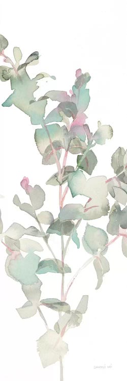 Eucalyptus On White II by Danhui Nai wall art