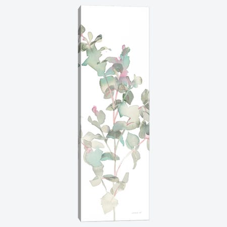 Eucalyptus On White II Canvas Print #WAC8399} by Danhui Nai Canvas Print