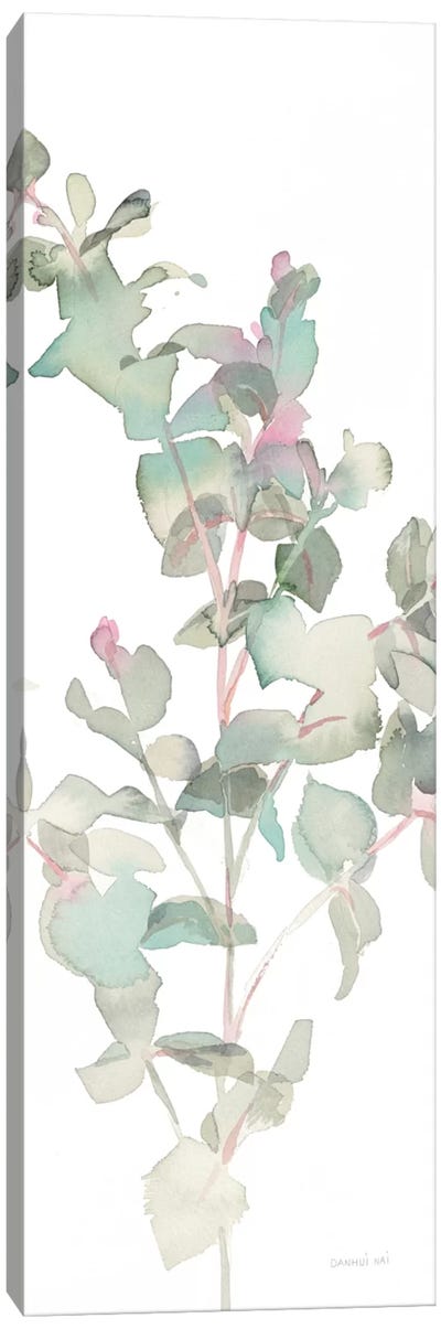 Eucalyptus On White II Canvas Art Print - Danhui Nai