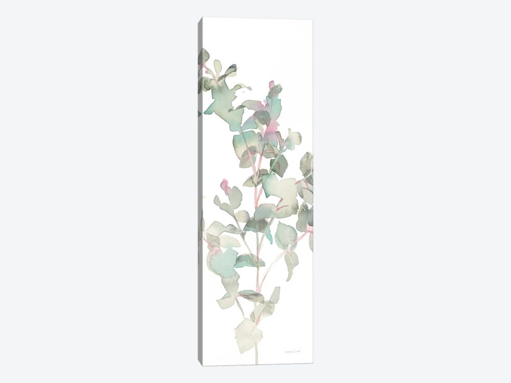 Eucalyptus On White II by Danhui Nai 1-piece Canvas Print