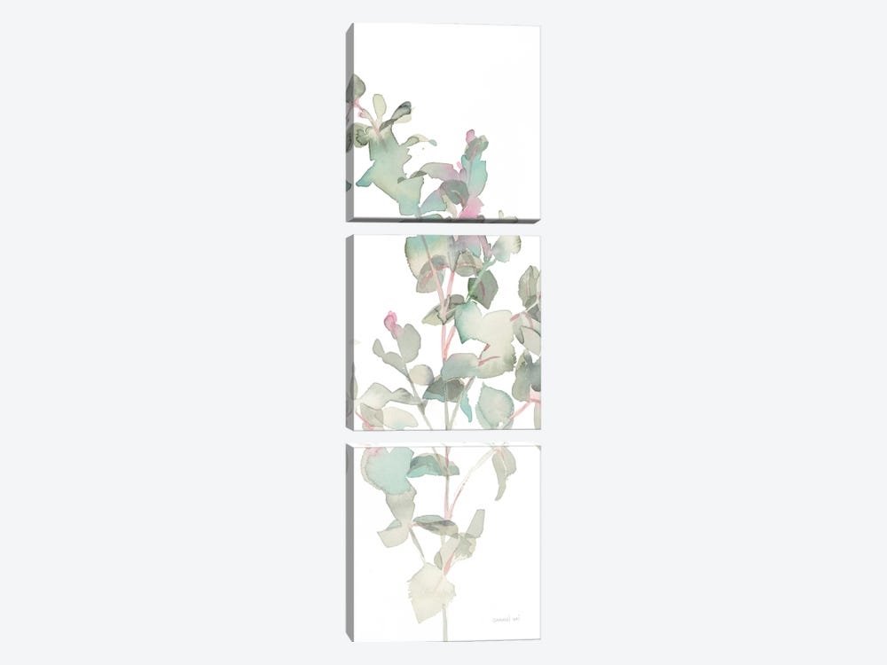 Eucalyptus On White II by Danhui Nai 3-piece Canvas Print
