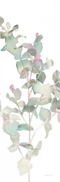 Eucalyptus: Eucalyptus On White II by Danhui Nai