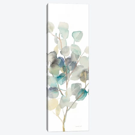 Eucalyptus On White III Canvas Print #WAC8400} by Danhui Nai Canvas Print