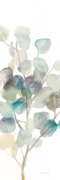 Eucalyptus: Eucalyptus On White III by Danhui Nai