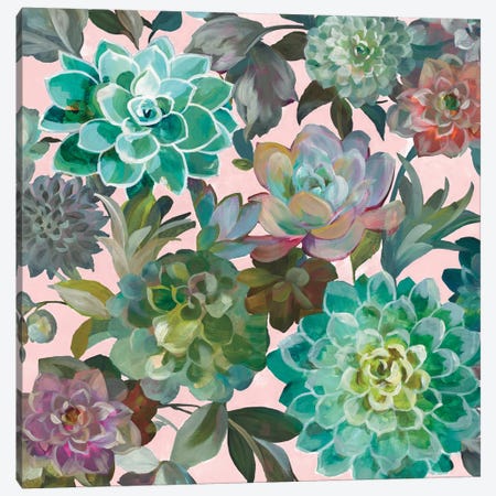 Floral Succulents On Pink Canvas Print #WAC8401} by Danhui Nai Canvas Print