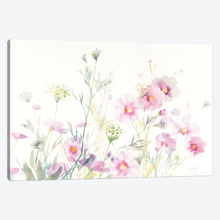 Queen Anne's Lace And Cosmos On White I Canvas Print #WAC8402} by Danhui Nai Canvas Print