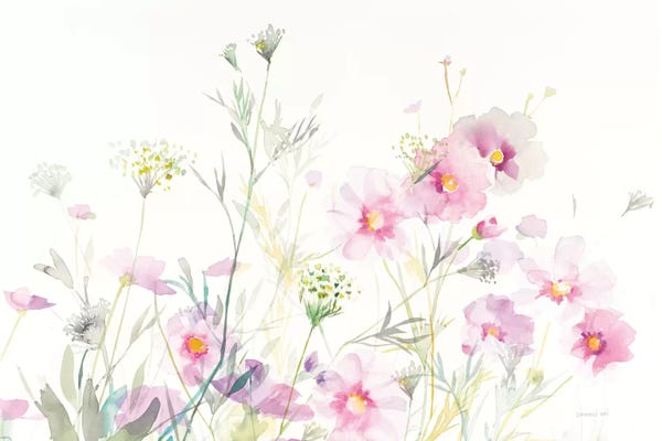 Cosmos: Queen Anne's Lace And Cosmos On White I by Danhui Nai