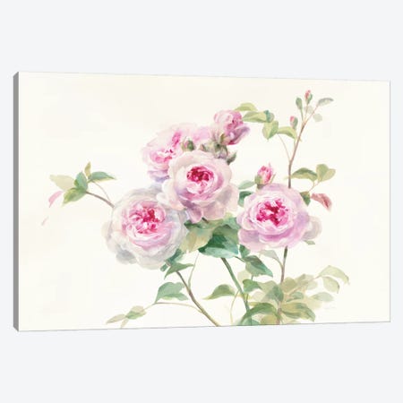 Sweet Roses On White Green Canvas Print #WAC8405} by Danhui Nai Canvas Artwork