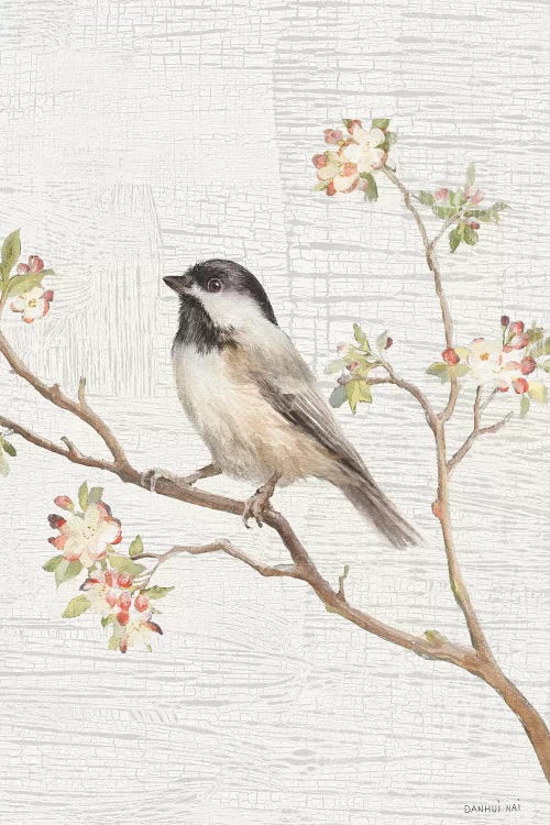 Black Capped Chickadee, Vintage