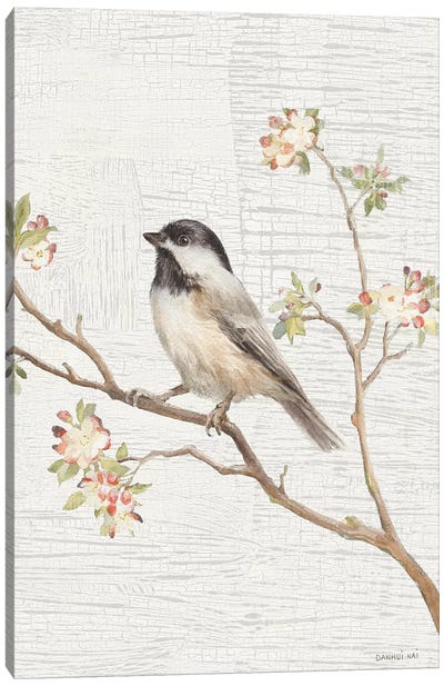 Black Capped Chickadee, Vintage Canvas Art Print - Sparrows