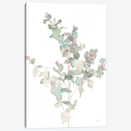 Eucalyptus II, White Canvas Print #WAC8676} by Danhui Nai Canvas Print