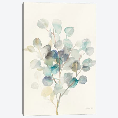 Eucalyptus III Canvas Print #WAC8677} by Danhui Nai Art Print