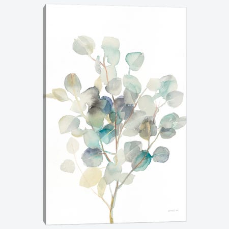 Eucalyptus III, White Canvas Print #WAC8678} by Danhui Nai Canvas Art