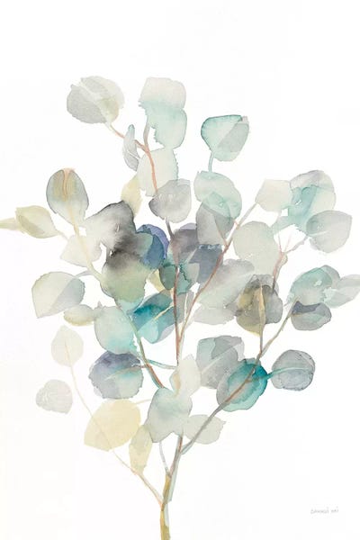 Eucalyptus: Eucalyptus III, White by Danhui Nai