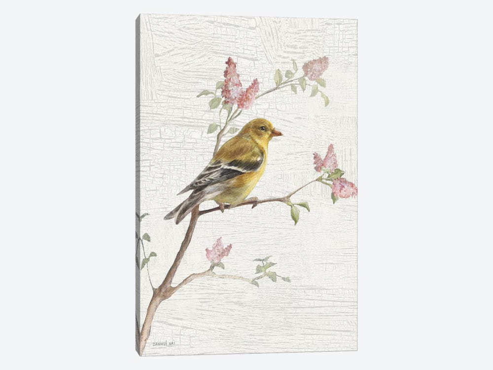 Female Goldfinch, Vintage by Danhui Nai 1-piece Canvas Print