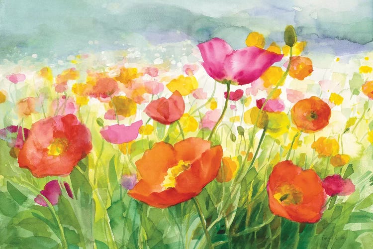 Meadow Poppies