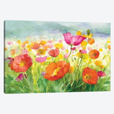 Meadow Poppies Canvas Print #WAC8680} by Danhui Nai Canvas Print
