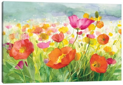 Meadow Poppies Canvas Art Print - Poppy Art