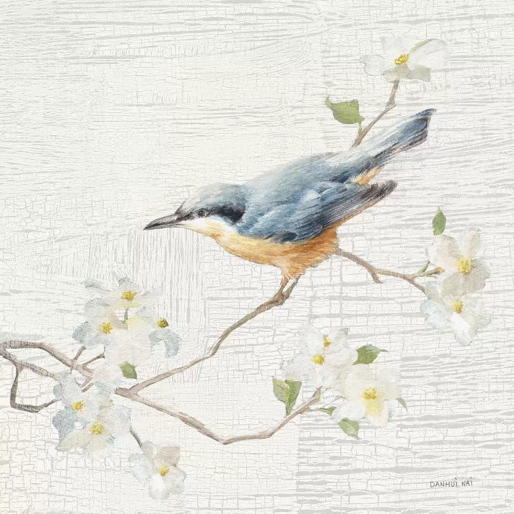 Nuthatch, Vintage by Danhui Nai wall art