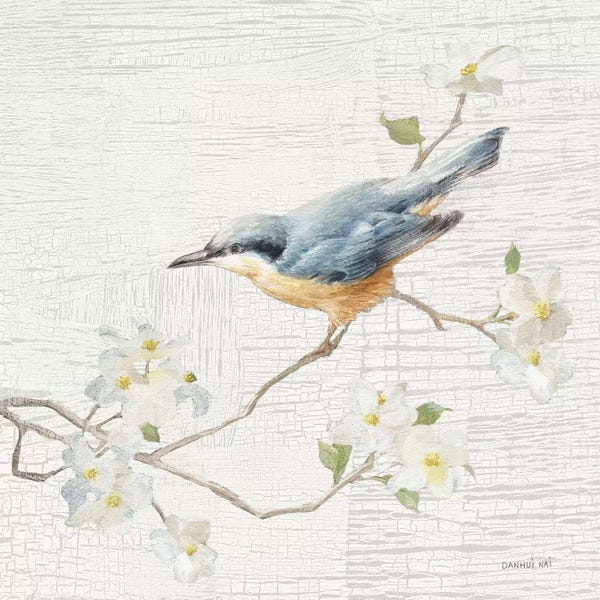 Danhui Nai: Nuthatch, Vintage by Danhui Nai