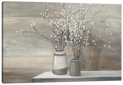 Pussy Willow Still Life Gray Pots Canvas Art Print - Best Selling Floral Art