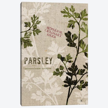 Organic Parsley, No Butterfly Canvas Print #WAC8735} by Studio Mousseau Canvas Art