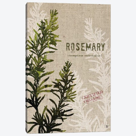Organic Rosemary, No Butterfly Canvas Print #WAC8736} by Studio Mousseau Canvas Artwork