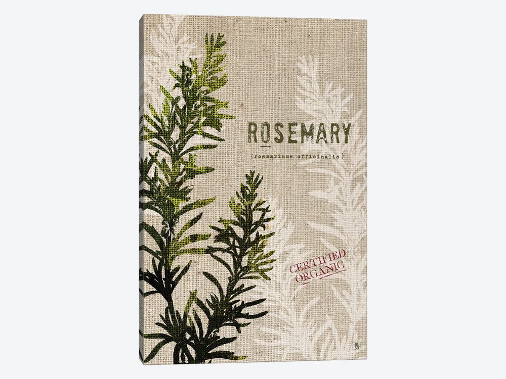 Organic Rosemary, No Butterfly by Studio Mousseau 1-piece Art Print