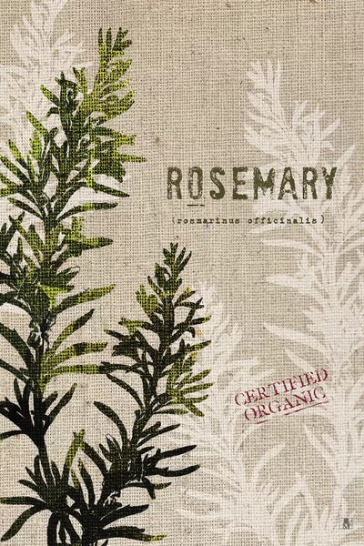 Herbs: Organic Rosemary, No Butterfly by Studio Mousseau