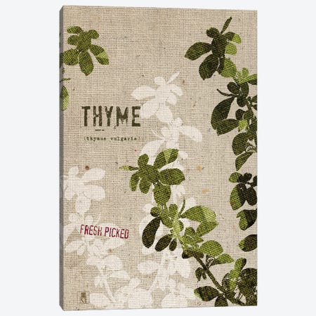 Organic Thyme, No Butterfly Canvas Print #WAC8737} by Studio Mousseau Canvas Artwork