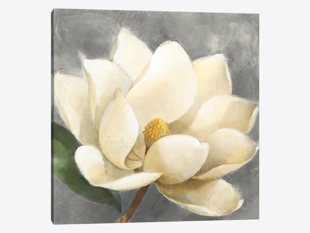 Magnolia Blossom On Gray by Albena Hristova 1-piece Canvas Print