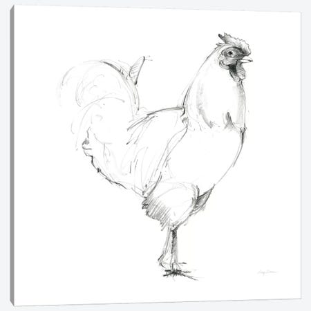 Rooster II Dark Square Canvas Print #WAC8788} by Avery Tillmon Canvas Art