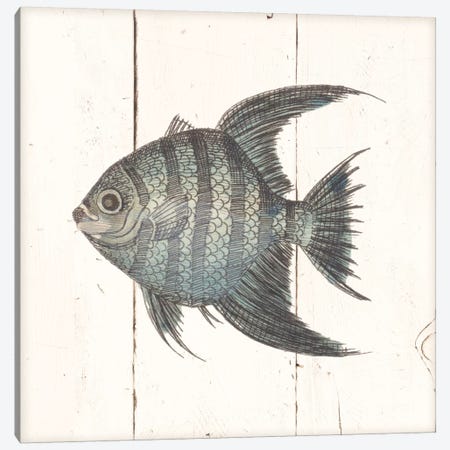 Fish Sketches II Shiplap Canvas Print #WAC8929} by Wild Apple Portfolio Canvas Artwork