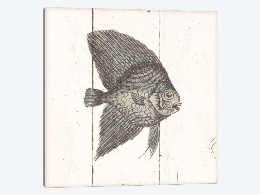 Fish Sketches III Shiplap 1-piece Canvas Artwork
