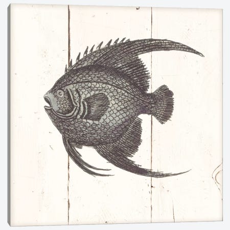 Fish Sketches IV Shiplap Canvas Print #WAC8931} by Wild Apple Portfolio Art Print