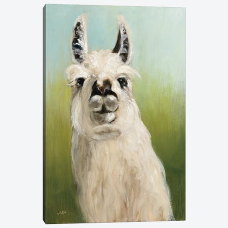 Who's Your Llama I Canvas Print #WAC8953} by Julia Purinton Art Print