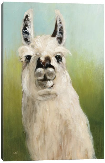 Who's Your Llama I Canvas Art Print - Llama & Alpaca Art