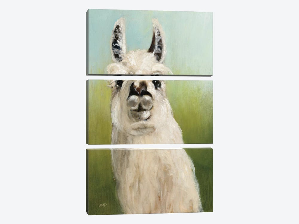 Who's Your Llama I by Julia Purinton 3-piece Canvas Print