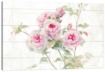 Sweet Roses On Wood Canvas Art Print - Danhui Nai