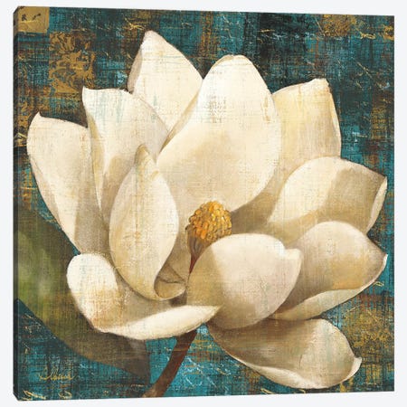Magnolia Blossom Turquoise Canvas Print #WAC8} by Albena Hristova Canvas Art Print