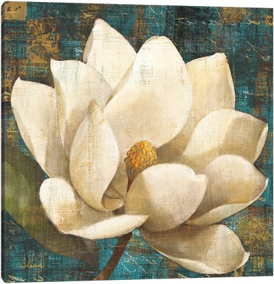 Magnolia Blossom Turquoise Canvas Art Print - Home Staging Bathroom