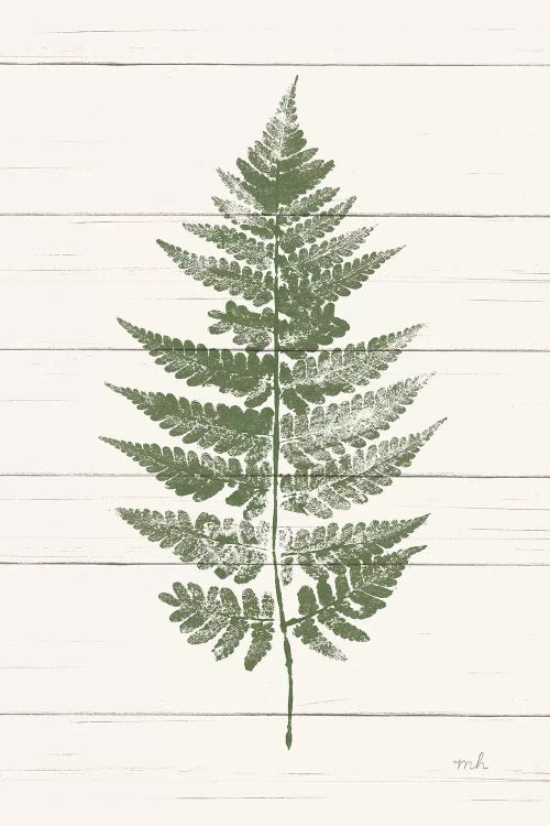 Fern Print I