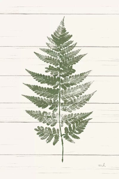 Ferns: Fern Print I by Moira Hershey