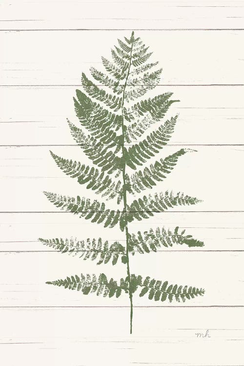 Fern Print II