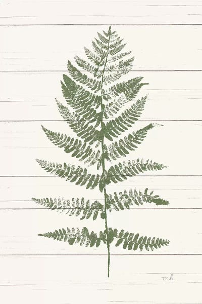 Fern Print II
