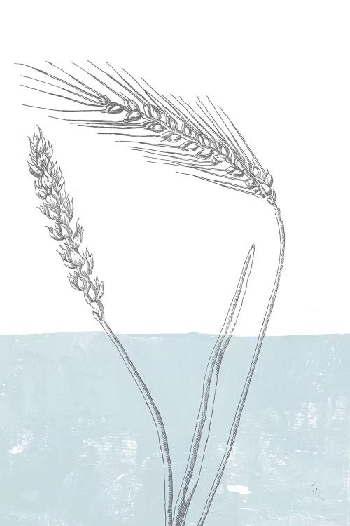 Wheat by Sarah Adams wall art