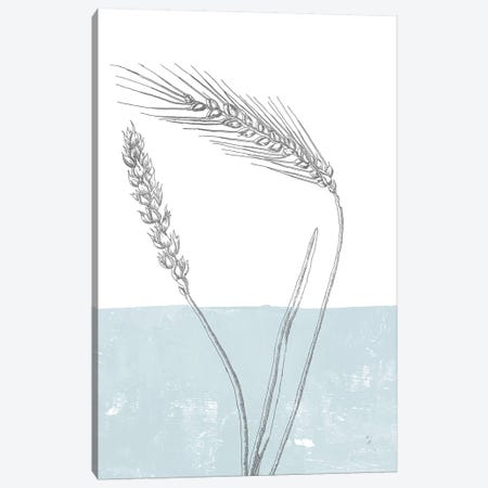 Wheat Canvas Print #WAC9031} by Sarah Adams Canvas Print