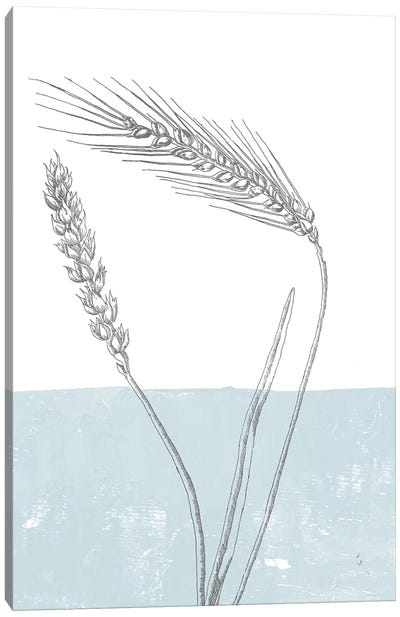 Wheat Canvas Art Print - Sarah Adams