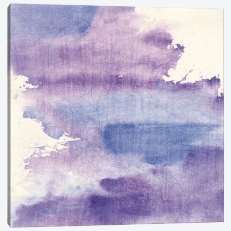 Purple Haze I Canvas Print #WAC9056} by Chris Paschke Canvas Wall Art