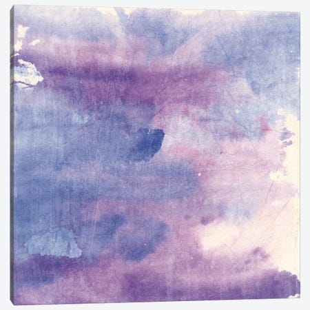 Purple Haze II Canvas Print #WAC9057} by Chris Paschke Canvas Artwork